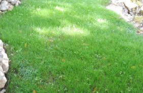 Villa Santo Antonio - Foto 29