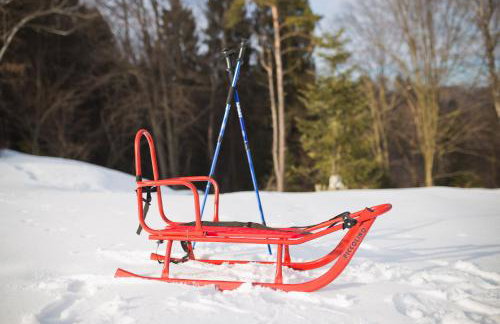 Villa Rustica - Photo 6