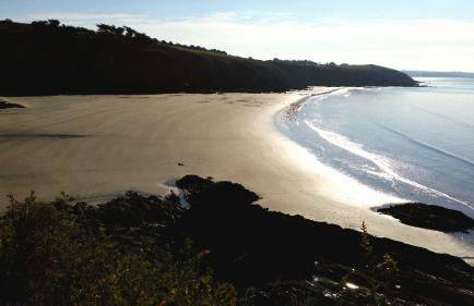 L'Effraie des Clochers - Foto 36