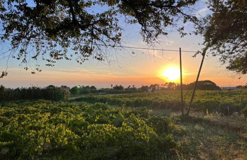 Villa Mamma Francesca - Foto 38