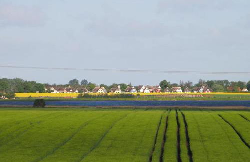 Gut-Rattelvitz-Parterre-A-hochwertig-Sauna-Kamin-eTankstelle-Spielscheune-15-000qm-Parkland - Foto 13