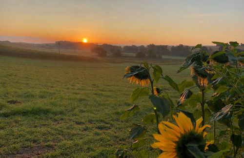 Tweed Hideaway - Foto 11