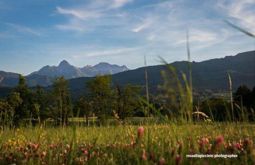 BENVENUTI A CASA PAOLA , WELCOME IN GARFAGNANA! - Foto 19
