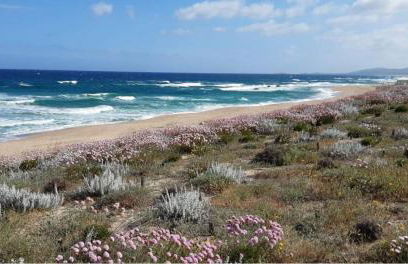 Zafiro Apartment - Foto 12