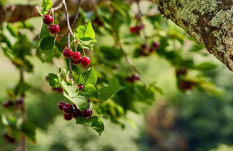 Quinta Barqueiros D'Ouro - Casa da Música - Photo 58