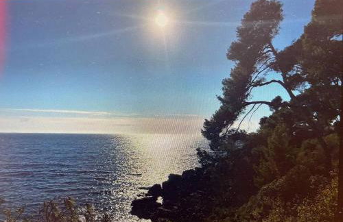 pin rollan beach - Photo 10