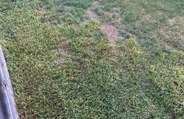 Modern Home In North-central Austin - Foto 31