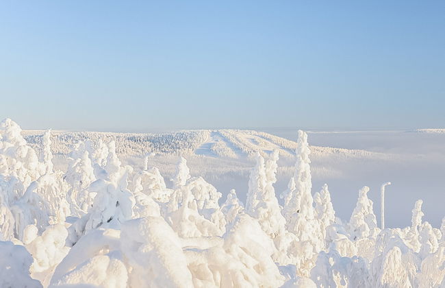 Loma-saaga 3 - Foto 42