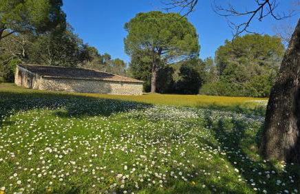 Domaine familial avec grand parc et piscine - Foto 13