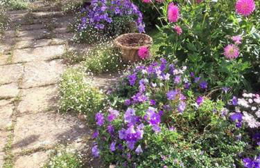 Highfield Lodge - Photo 39