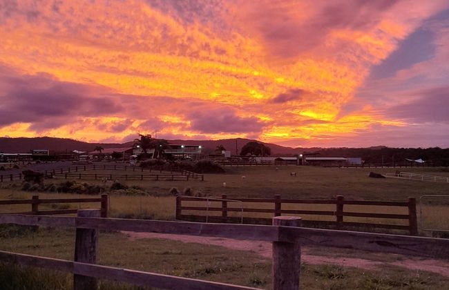 Kur Cow farm - Foto 13