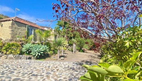 Exclusiva Villa con Piscina Privada, Villa Juandana - Foto 5, Garden, Garden view