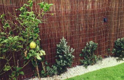 Arrábida House - Foto 36