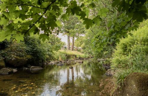 Afonfa - Llanuwchllyn - Foto 15