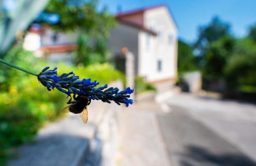 Lumos Residence - Free private parking - Foto 3