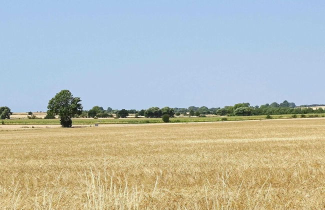 14 Person Holiday Home in Aeroskobing - Foto 44