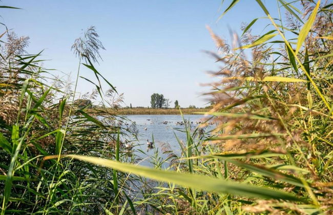 Spacious Holiday Home in Sommerfeld near Lake - Foto 31