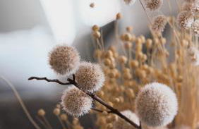 B&B Ferienwohnung mit bester Aussicht/Lage - Foto 7