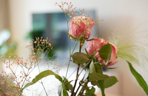 101-freiburg - Photo 27