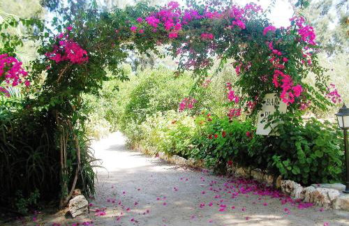 Apartamentos Concha del Mar - Foto 34