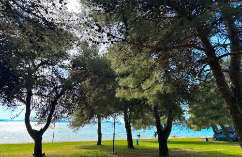 Dream Escape Mobile Home - Photo 25