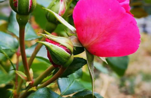 La maison de Carmen - Foto 44