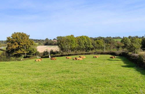 Gîte Le Bouton D'or 8min Puy du Fou - Foto 22