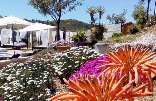 Casas de Campo do Castro da Cola - Foto 7