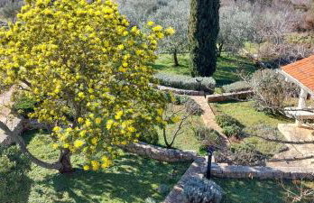 Holiday house "LEA" - Photo 41