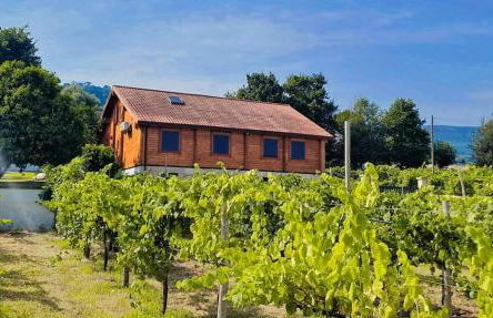 Quinta Alvaredo - Foto 38