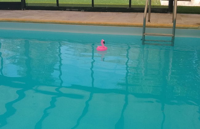 Domaine de la Vaudourière - Photo 54