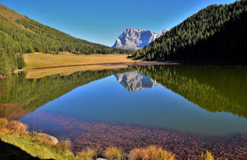 Ronchet Baita Vanoi Trentino - Foto 35