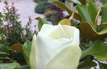 Acquavilla - Foto 26