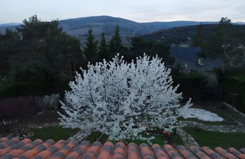 Casa El Cerezo Rojo - Foto 44