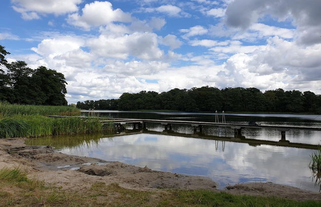 Ferienhaus in Mecklenburg-vorpommern mit Tropenpool & Spa - Photo 30