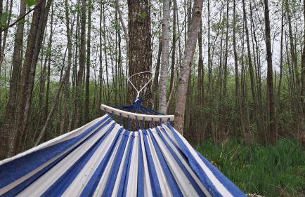 Mazury Lake House Sailing & Spa - Foto 36