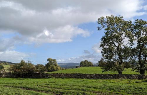 Brook Cottage Askrigg - Photo 53