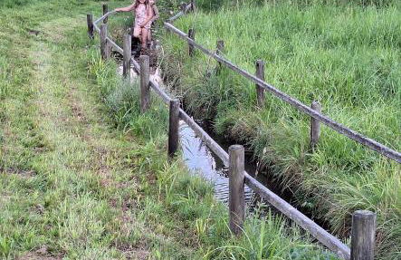 Ranzinger Hof - Foto 30