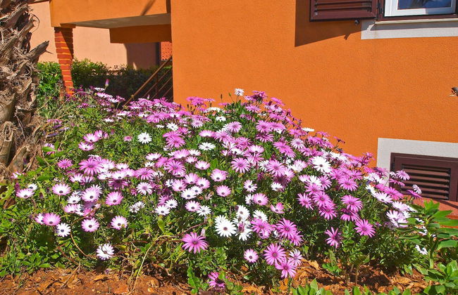 Apartment 1077 - Photo 50