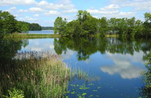 Haus Hilde Zarrentin am Schaalsee - Foto 8