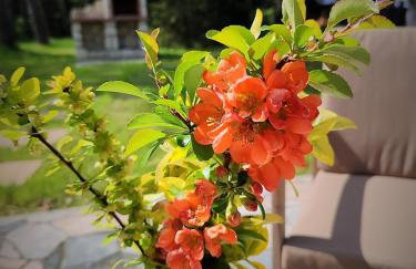 PIZUNY Dom pod dębem z balią na wyłączność - Foto 66