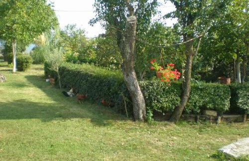 Holiday house with a swimming pool Cepic, Central Istria - Sredisnja Istra - 7404 - Foto 12