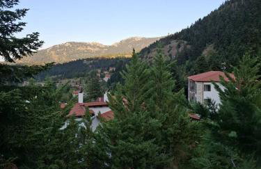 Horizon Nest Parnassos Villa Chalet! - Foto 41