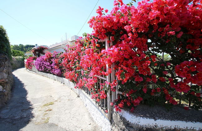 Lacco Cottage - Foto 25