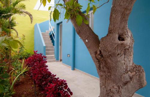 La Huerta de Manuel - Foto 15