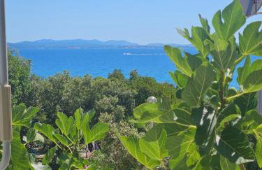 Apartments Anita - Punta Skala - Foto 3