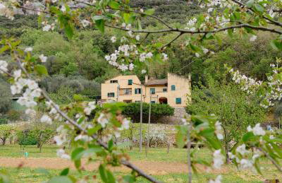 Agriturismo Alveare - Foto 1