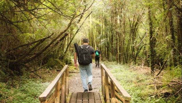 Parque Nacional Alerce Andino