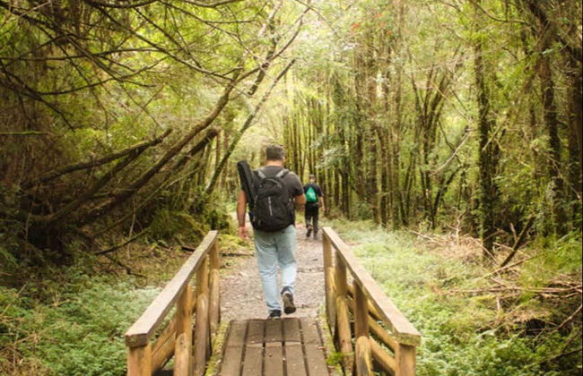 Excursion privée depuis Puerto Montt - Photo 1