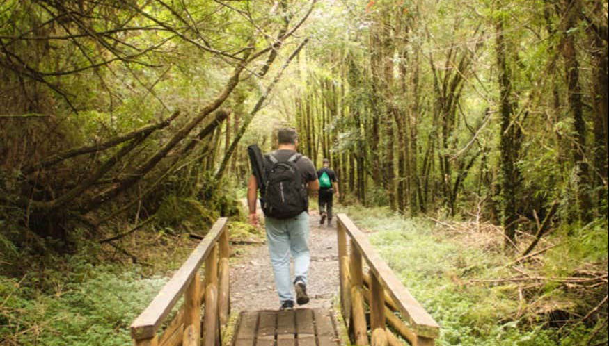 Parque Nacional Alerce Andino